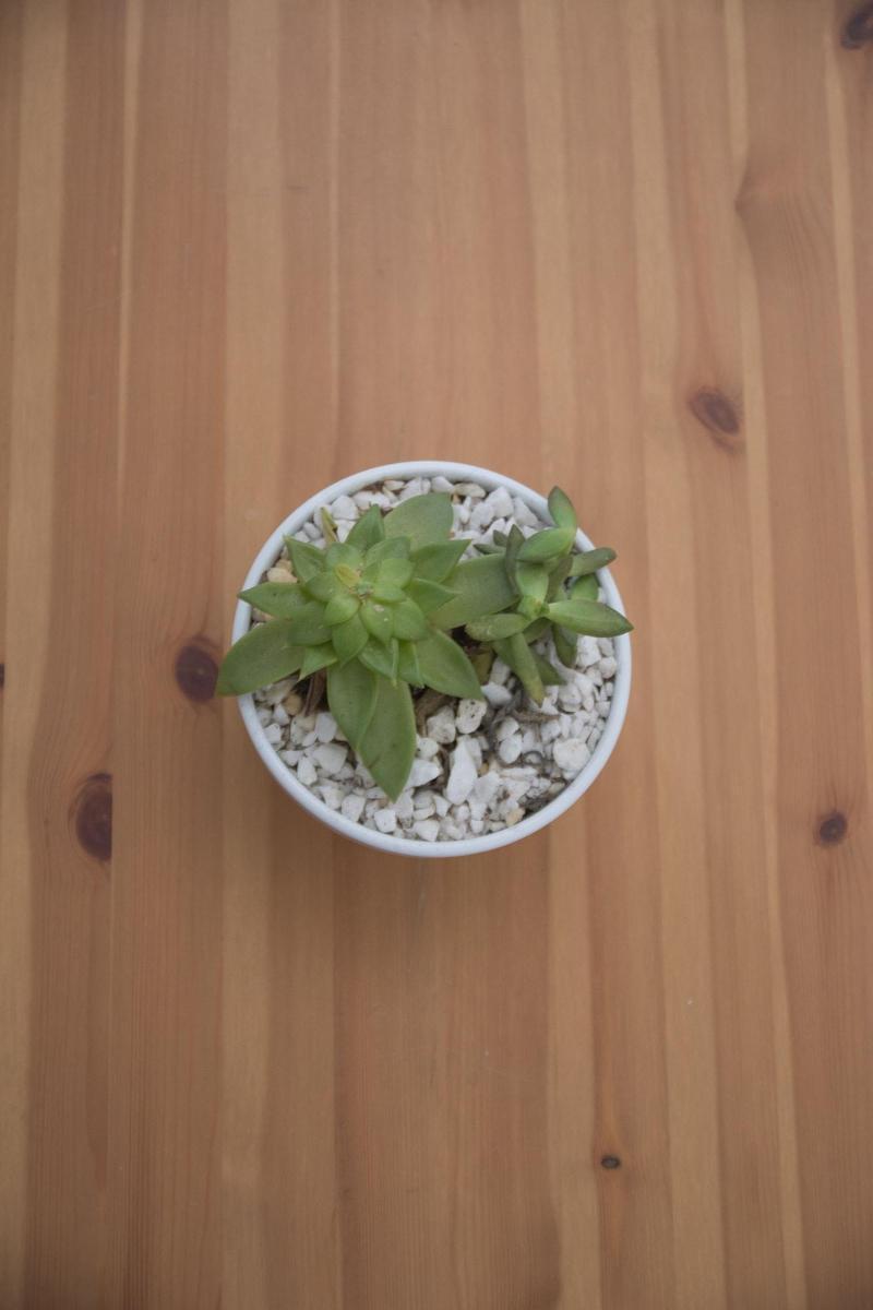 Douskos Guesthouse 이드라 외부 사진